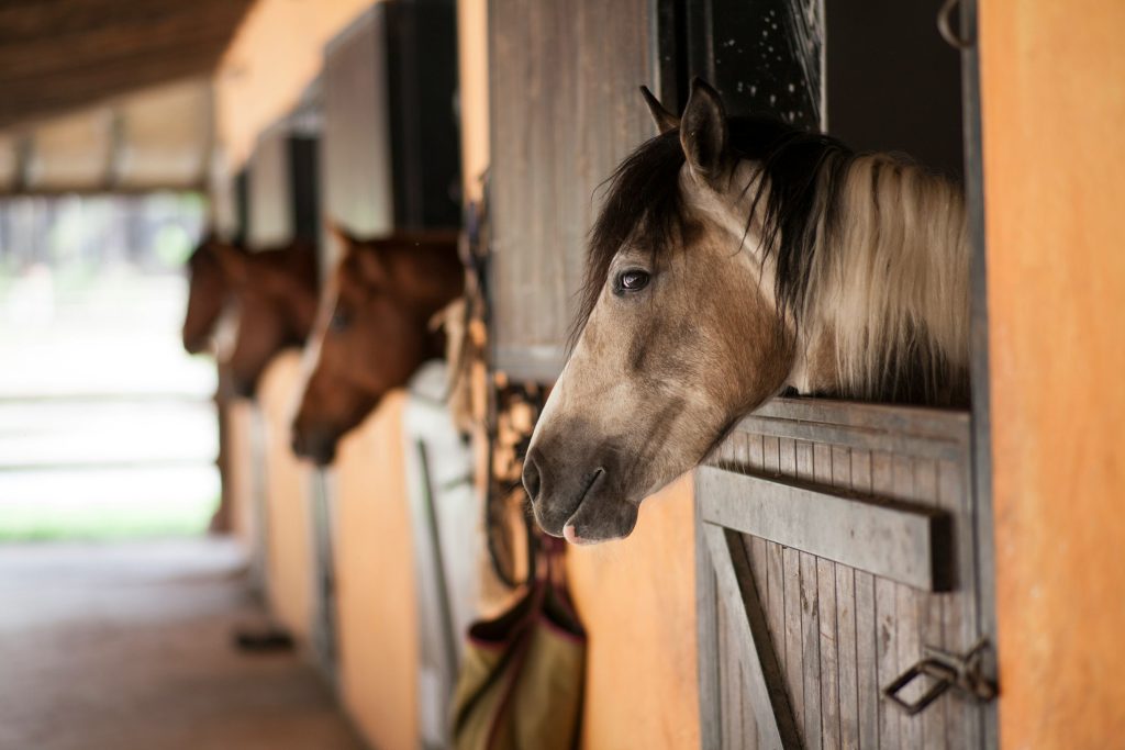 horse barn